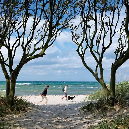 Haus Suedwester Robby * Insel Poel